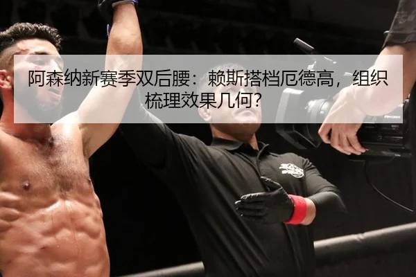 阿森纳新赛季双后腰：赖斯搭档厄德高，组织梳理效果几何？
