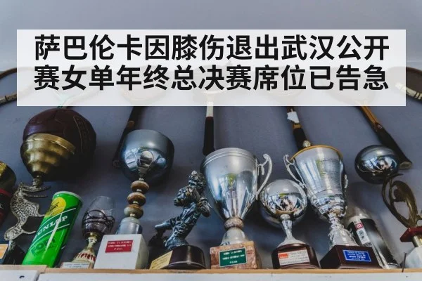 萨巴伦卡因膝伤退出武汉公开赛女单年终总决赛席位已告急